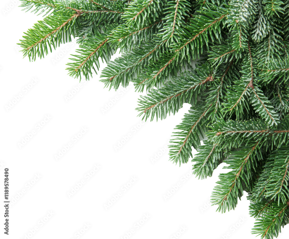 Frosted Fir Branches - A Winter Wonderland Scene , isolated on white background PNG Frosted Fir Branches - A Winter Wonderland Scene , isolated on white background PNG