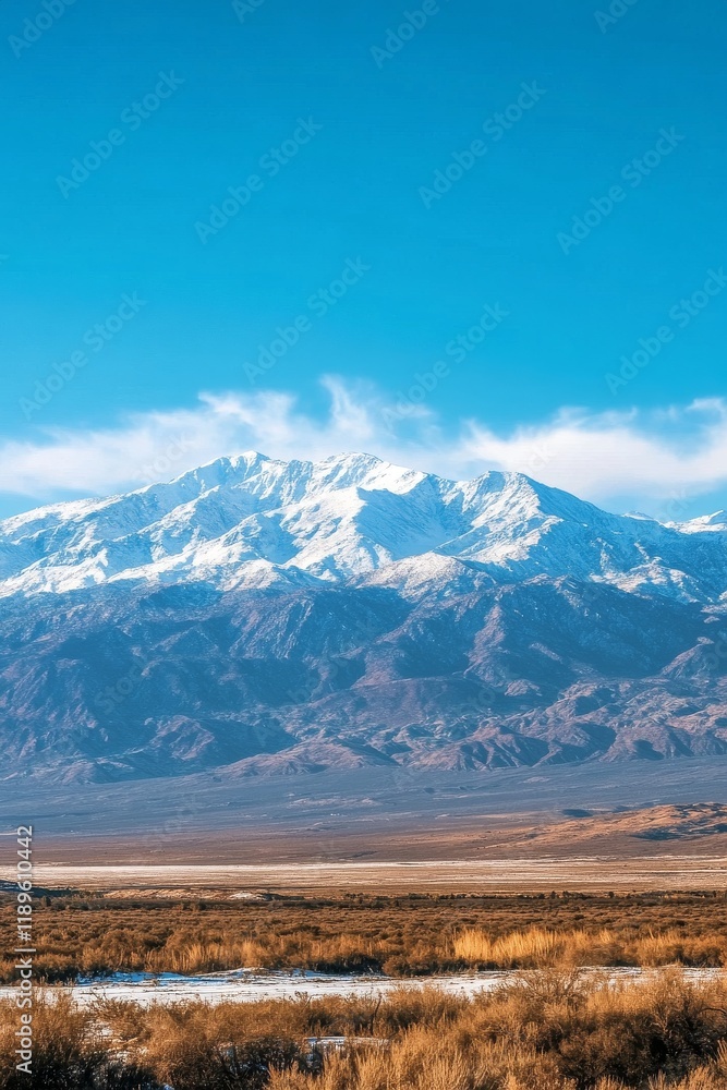 Fototapeta premium Snow-capped mountains under a clear blue sky, viewed from a dry, brushy plain