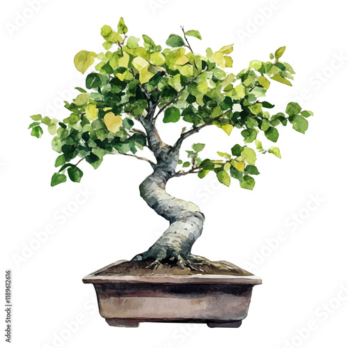 A watercolor clipart of a mulberry bonsai, isolated on a white background. Mulberry bonsai vector.
