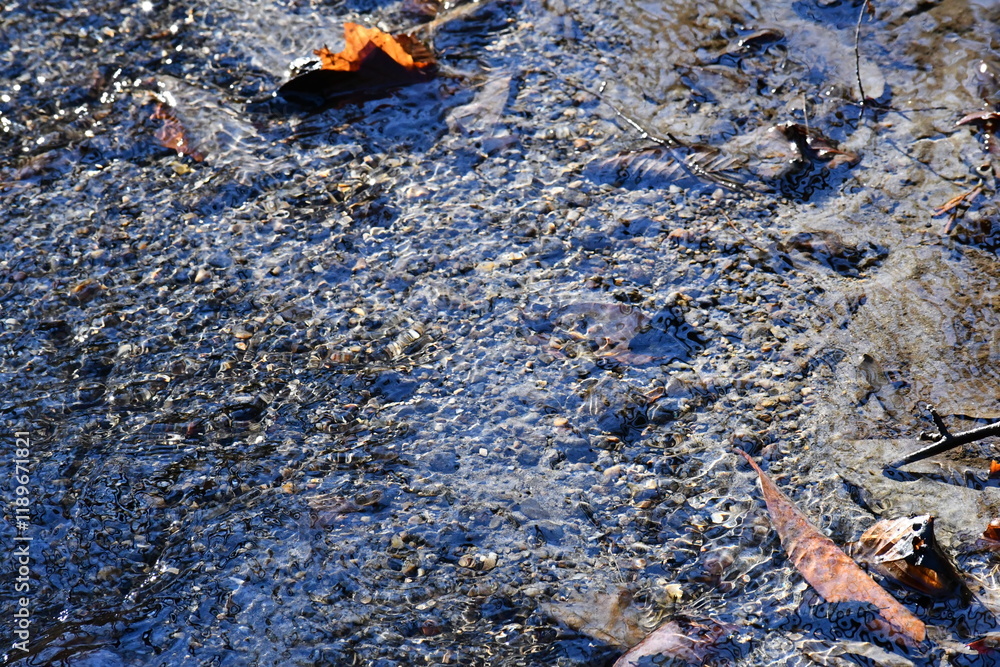 Perennial stream flowing in scenic river system Perennial stream flowing in scenic river system