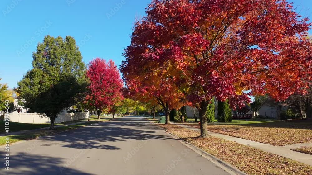 POV side shot of suburban street in USA neighborhood on a beautiful bright sunny autumn day POV side shot of suburban street in USA neighborhood on a beautiful bright sunny autumn day
