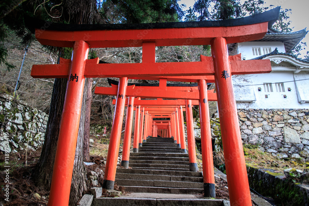 Red Torii Gate Pathway Leading Upward in Arikoyama Inari Shrine, Izushi, Japan Red Torii Gate Pathway Leading Upward in Arikoyama Inari Shrine, Izushi, Japan