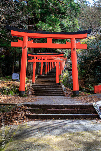 Red Torii Gate Pathway Leading Upward in Arikoyama Inari Shrine, Izushi, Japan