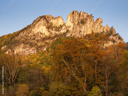 Seneca Rocks summit lit in the sunset with trees in fall colors in the foreground photo