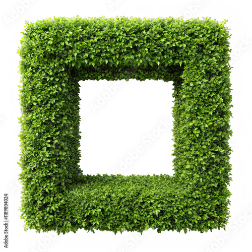 A fresh green hedge creates an open frame enhancing a bar scales presentation in a vibrant gardening space during daylight hours