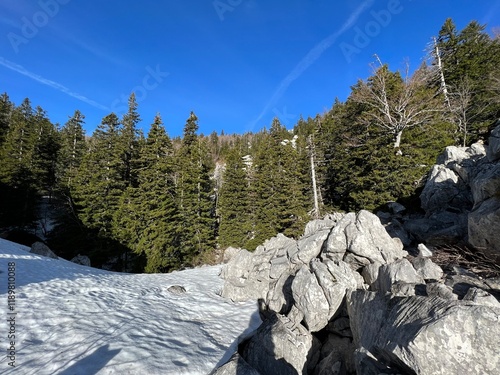 The last remnants of spring snow after a long and harsh mountain winter - Northern Velebit National Park, Croatia (Posljednji proljetni ostaci snijega nakon duge i oštre zime - NP Sjeverni Velebit) photo