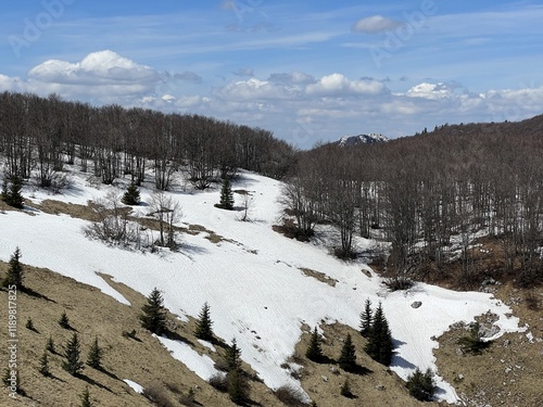 The last remnants of spring snow after a long and harsh mountain winter - Northern Velebit National Park, Croatia (Posljednji proljetni ostaci snijega nakon duge i oštre zime - NP Sjeverni Velebit) photo