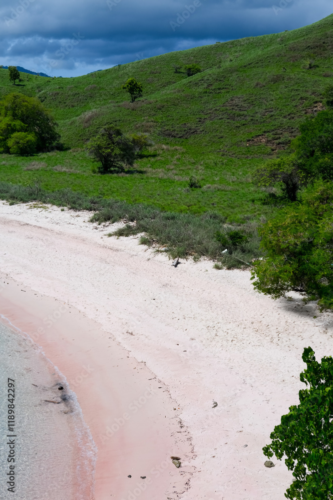Pink Beach in the summer, famous for its unique pink sand and clear water, surrounded by breathtaking landscapes and vibrant marine life, Komodo National Park, Indonesia