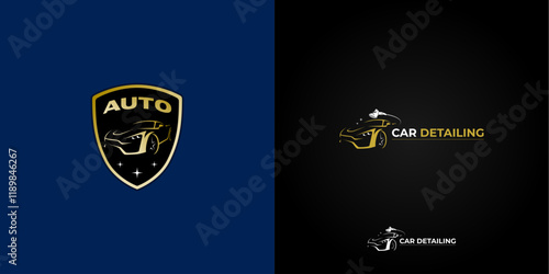 Exotic Car detailing Logo Vector