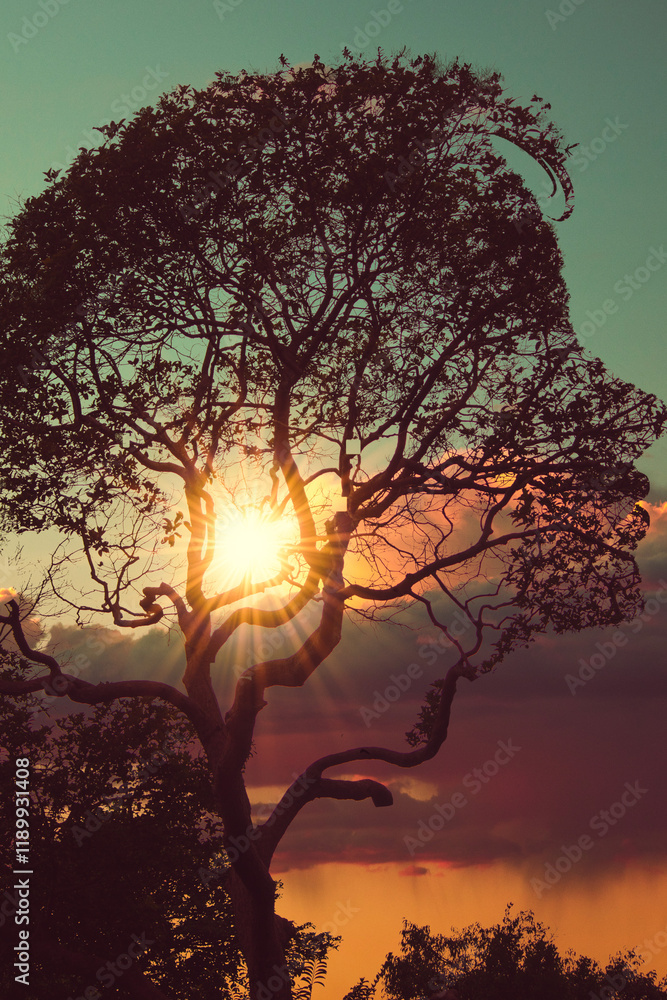 Witnessing the breathtaking sunset through the silhouette of a majestic tree is truly magical Witnessing the breathtaking sunset through the silhouette of a majestic tree is truly magical