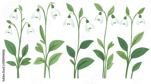 Wallpaper Mural Snowdrop flowers, botanical illustration, white background, spring design, garden decor Torontodigital.ca