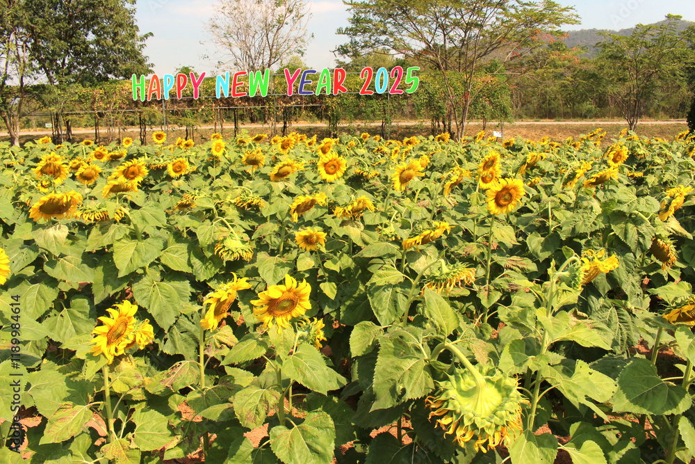 Obraz premium Happy New Year sign standing amidst a vibrant field of sunflowers.