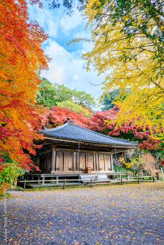 秋の富貴寺　大分県豊後高田市　Fukiji temple in autumn. Oita Pref, Bungoono City. photo