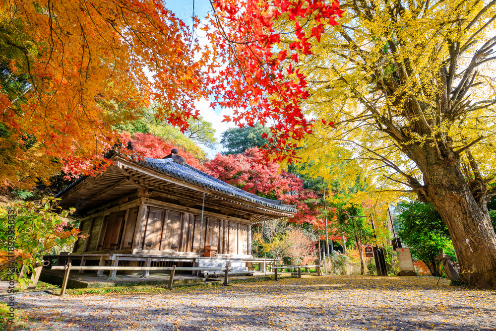 秋の富貴寺 大分県豊後高田市 Fukiji temple in autumn. Oita Pref, Bungoono City. 秋の富貴寺 大分県豊後高田市 Fukiji temple in autumn. Oita Pref, Bungoono City.