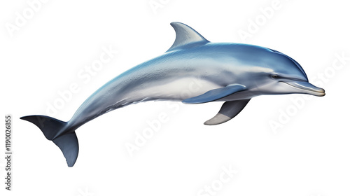 dolphin swimming underwater on transparent background  photo