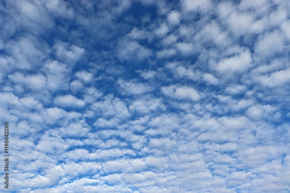 Fluffy clouds in a blue sky Fluffy clouds in a blue sky