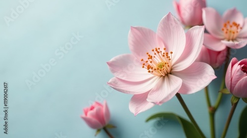 Delicate Pink Blossoms on a Pastel Background A Close-Up Study of Springtime Flora