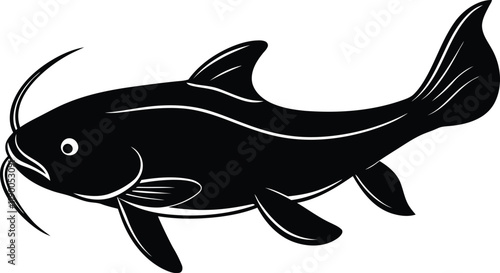 Catfish silhouette vector illustration, Catfish line art vector, Catfish vector design