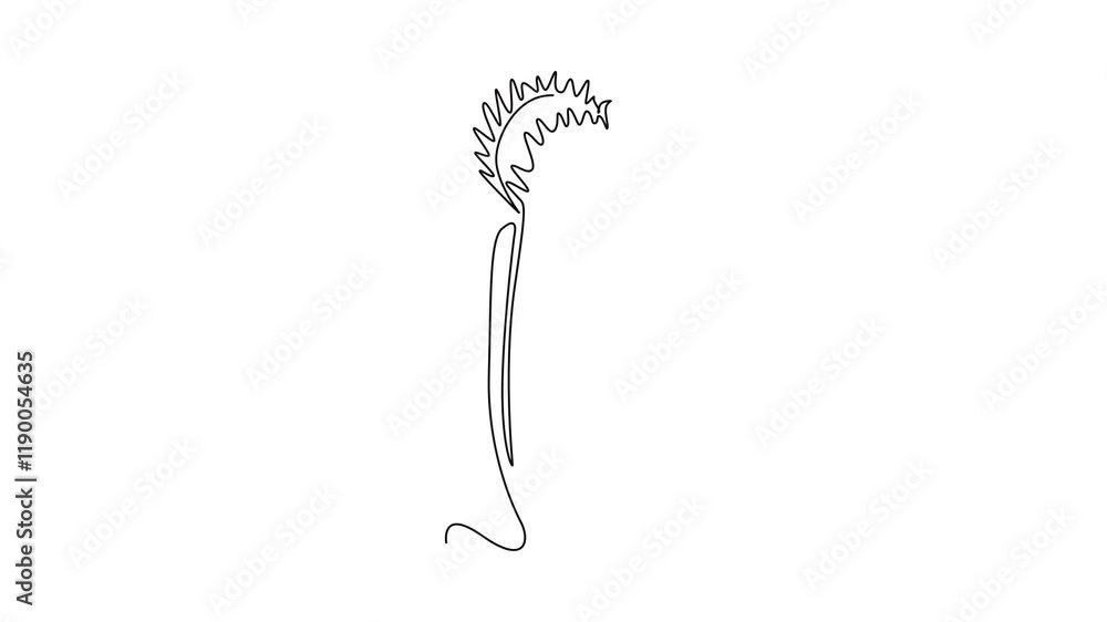 Animated self drawing of continuous line draw mysterious fresh venus flytrap for home decor wall art poster. Scary dionaea muscipula for monster creature character. Full length single line animation Animated self drawing of continuous line draw mysterious fresh venus flytrap for home decor wall art poster. Scary dionaea muscipula for monster creature character. Full length single line animation
