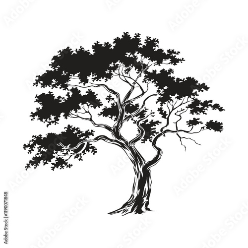 Beautifull tree silhouette Vector art