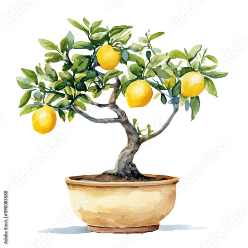 A watercolor illustration of a lemon bonsai, isolated on a white background. Lemon bonsai vector.
