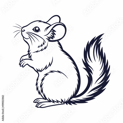 vector-silhouette-of-chinchilla -2