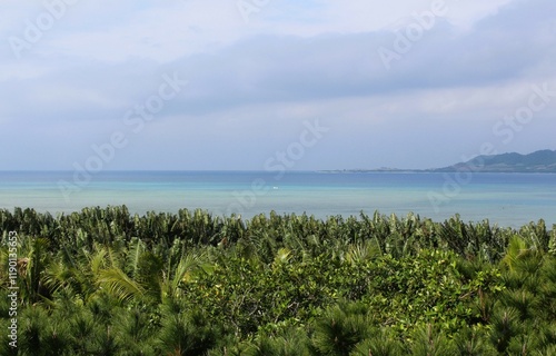 A panoramic view of Nagura Bay from the hill photo