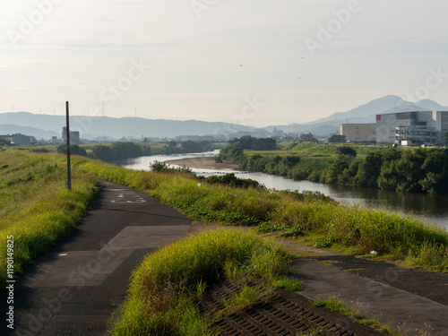 雑草に覆われた大和川の堤防 photo