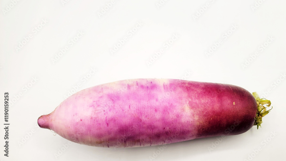 紅しぐれ大根・Red Shigure Daikon・Japanese red radish・붉은 시구레 무 紅しぐれ大根・Red Shigure Daikon・Japanese red radish・붉은 시구레 무
