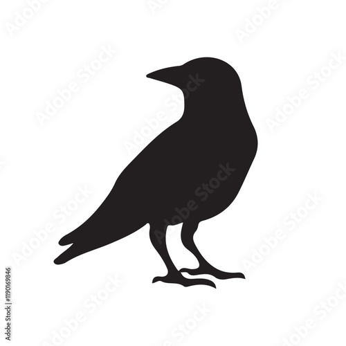 Crow raven bird vector silhouette. Vector Illustration eps 10