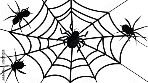 Spiders Crawling on a Web