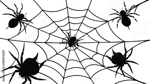 Spiders Crawling on a Web