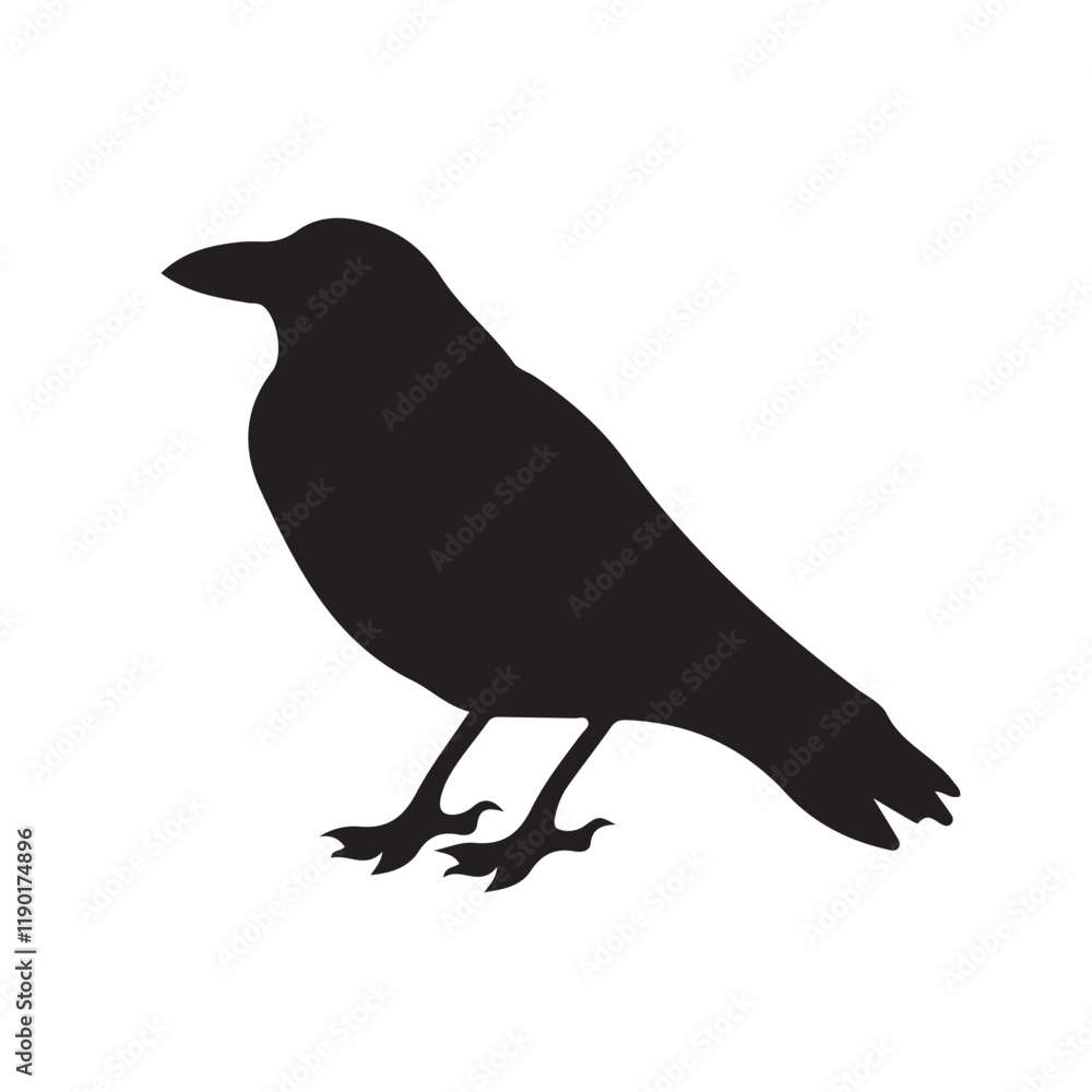 Crow raven bird vector silhouette. Vector Illustration eps 10 Crow raven bird vector silhouette. Vector Illustration eps 10