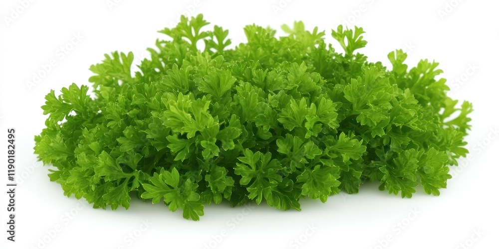 A detailed close-up view of vibrant green leaves arranged on a clean white surface, highlighting their texture and color contrast. A detailed close-up view of vibrant green leaves arranged on a clean white surface, highlighting their texture and color contrast.