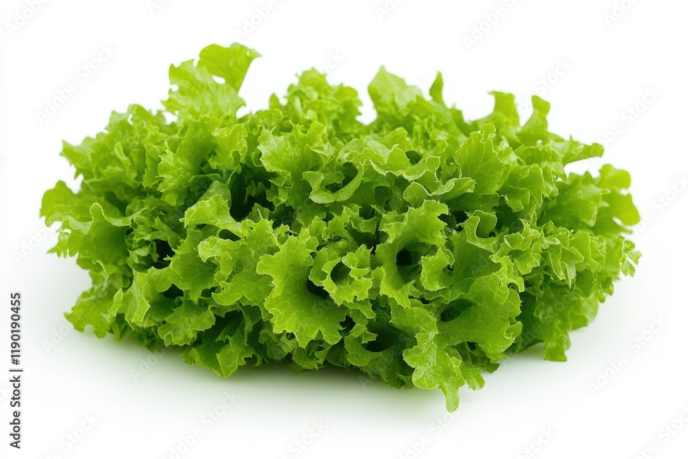 A fresh pile of vibrant green lettuce rests on a clean white surface, showcasing its crisp texture and rich color. A fresh pile of vibrant green lettuce rests on a clean white surface, showcasing its crisp texture and rich color.