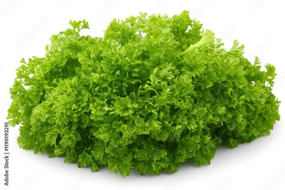 A detailed close-up view of vibrant green leaves set against a clean white background, showcasing their texture and natural beauty. A detailed close-up view of vibrant green leaves set against a clean white background, showcasing their texture and natural beauty.