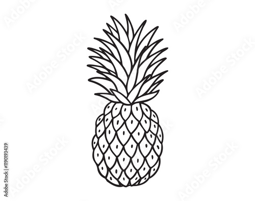 Pineapple fruit doodle hand drawn icon. Outline drawing Pineapple line clipart symbol
