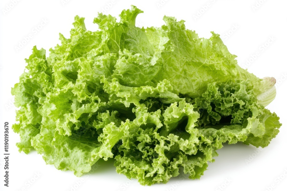 A detailed close-up of fresh green lettuce leaves arranged neatly on a clean white surface, highlighting their crisp texture and vibrant color. A detailed close-up of fresh green lettuce leaves arranged neatly on a clean white surface, highlighting their crisp texture and vibrant color.