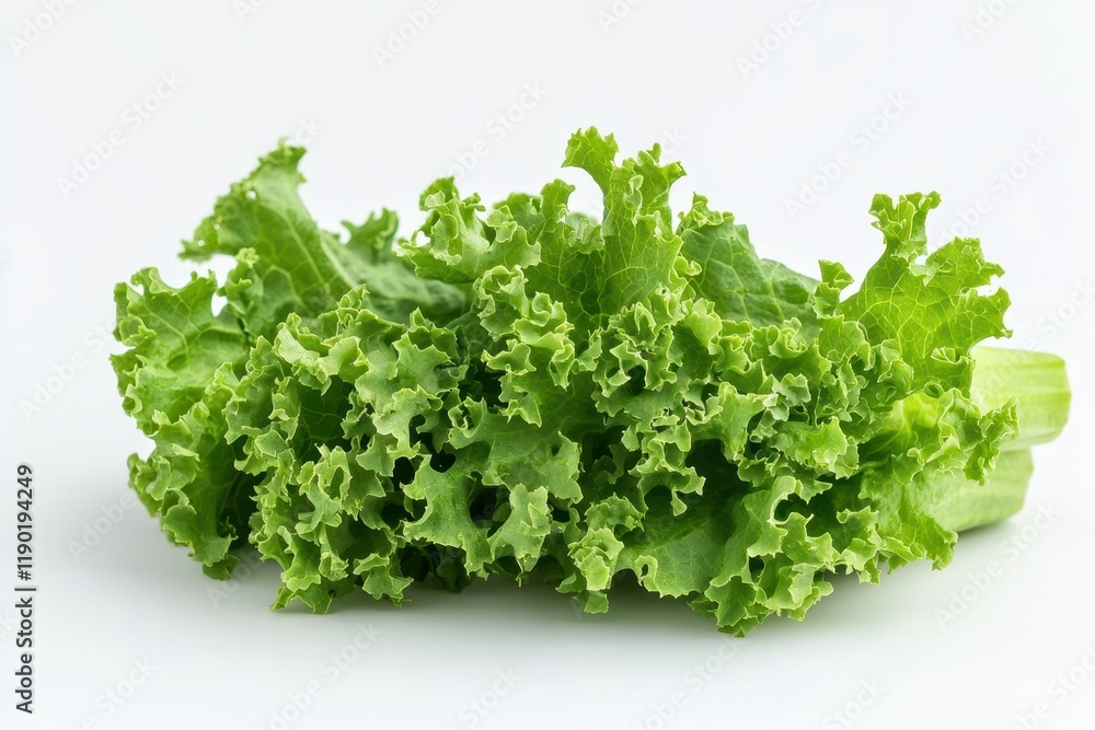 A close-up view of fresh lettuce leaves displayed on a clean white surface, highlighting their vibrant green color and crisp texture. A close-up view of fresh lettuce leaves displayed on a clean white surface, highlighting their vibrant green color and crisp texture.