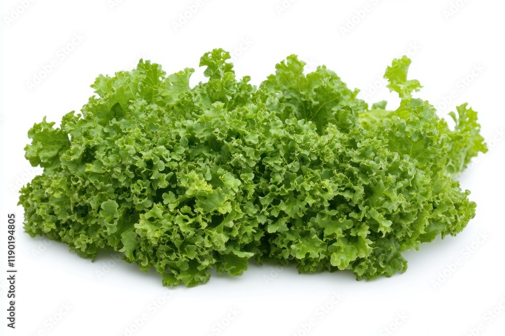 A detailed close-up of fresh green leafy vegetables arranged neatly on a clean white surface, showcasing their vibrant colors and textures. A detailed close-up of fresh green leafy vegetables arranged neatly on a clean white surface, showcasing their vibrant colors and textures.
