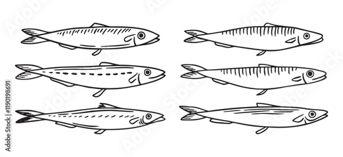 sea fish, sprat, herring, mackerel, little fish doodle hand drawn icon. Outline drawing sea fish, herring, mackerel, little fish line clipart symbol