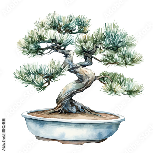 A watercolor of a Japanese white pine bonsai, isolated on a white background. Japanese white pine bonsai vector.
