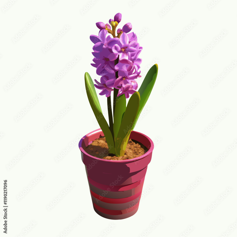 First spring violet hyacinth flower in a pot isolated vector illustration (3) First spring violet hyacinth flower in a pot isolated vector illustration (3)