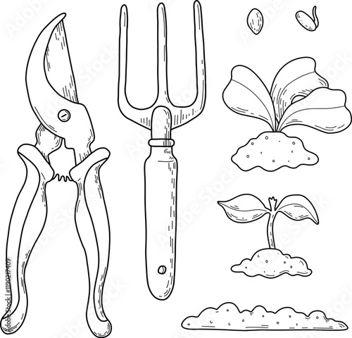 Vector illustration of different stages of growing plants. Suitable for use on websites, articles, labels, packaging. Gardening tools. Growing vegetables. Spring greenhouse plants, seedlings