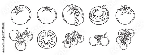 Tomato vegetable sketch doodle hand drawn icon set. Outline drawing fresh tomato line clipart symbol