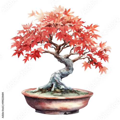 A watercolor of a Japanese maple bonsai, isolated on a white background. Japanese maple bonsai vector.
