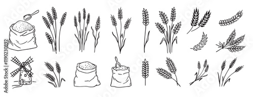 wheat and cereal plants, rye barley and ears of wheat in bag doodle hand drawn icon set. Outline drawing ears of wheat line clipart symbol collection
