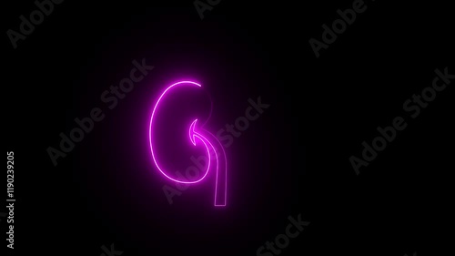 Wallpaper Mural Neon kidney animation symbolizes the renal system. A neon kidney animation symbolizes this renal system. Torontodigital.ca