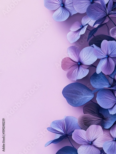 Purple flowers on pink background