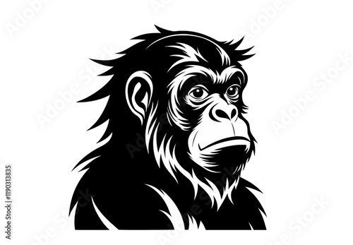orangutan